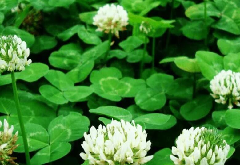 1654700222402122.jpg 2.jpg